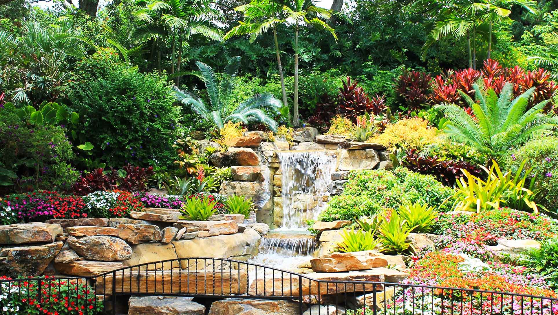 Tropical Backyard Oasis with Royal Palms