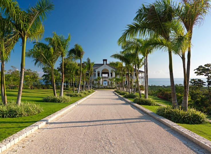 Grand Driveway Entrance with Royal Palms
